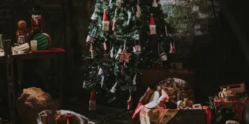 Best Christmas Tree Storage Bags 2026