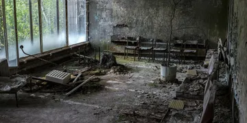 Best Murphy Bed Solutions of 2026: Reclaim Your Room Every Morning